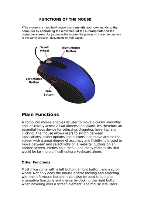 Functions OF THE Mouse and the importance - FUNCTIONS OF THE MOUSE ...