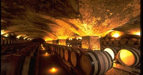 Essential Dijon Wine Tour - Grape Escapes Wine Tours