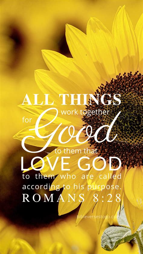 Sunflower Bible Verse Wallpaper