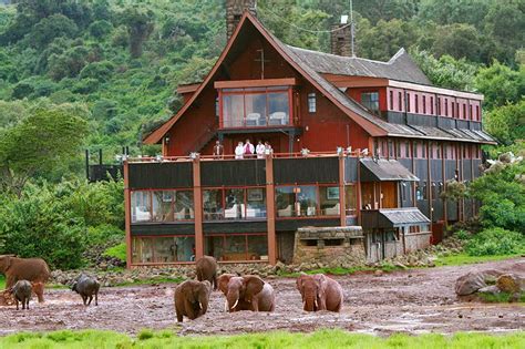 The Ark Kenya - Wildlife Spotting From Your Balcony In The Aberdare National Park