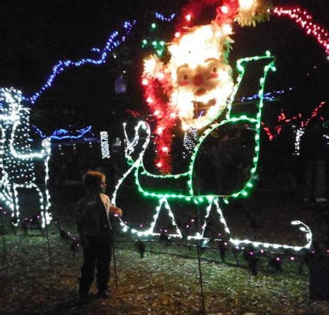 Zoo Lights at the Houston Zoo