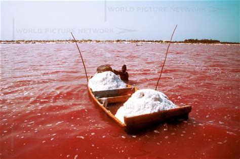 Lake Retba Pictures - Lake Retba (Lac Rose) - The Pink Lake of Senegal