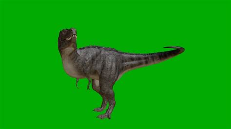 Dinosaur, Trex, Reptile. Free Stock Video - Pixabay