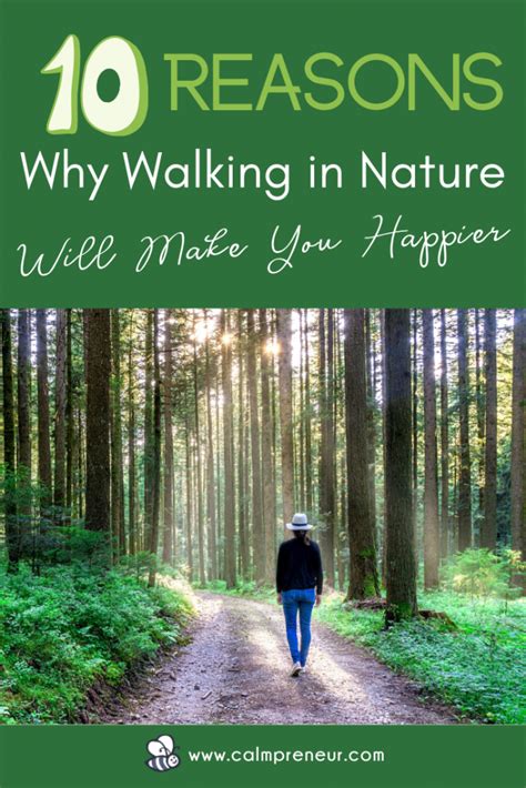 10 Amazing Health Benefits Of Walking in Nature