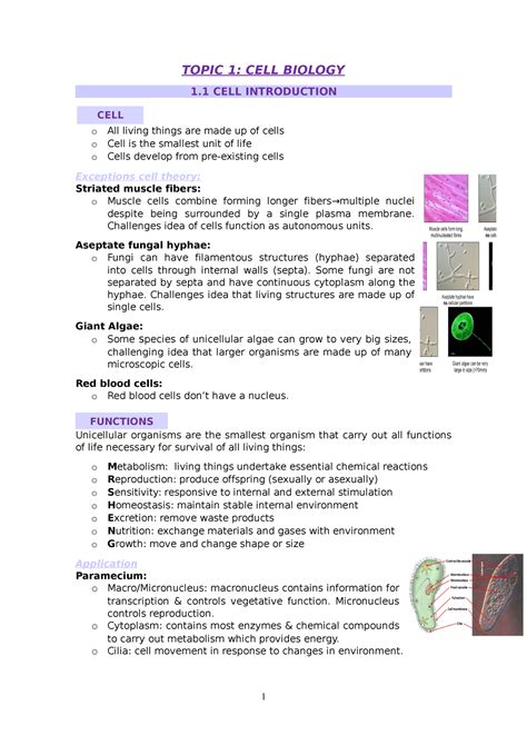 CELL Biology - TOPIC 1: CELL BIOLOGY 1 CELL INTRODUCTION o All living ...