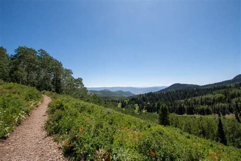 Park City UT Hiking | Trails, Guides & Wildlife Encounters