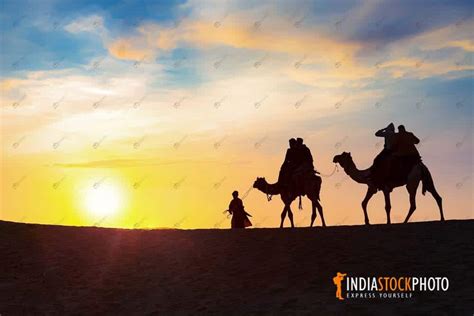 Tourist Camel Safari At Thar Desert Jaisalmer Rajasthan At Sunset | India Stock Photo