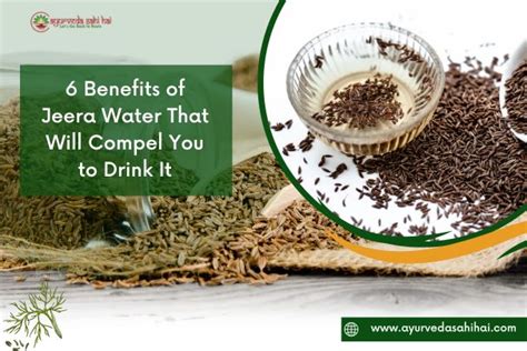 Top Benefits of Jeera Water: Health Advantages & Uses