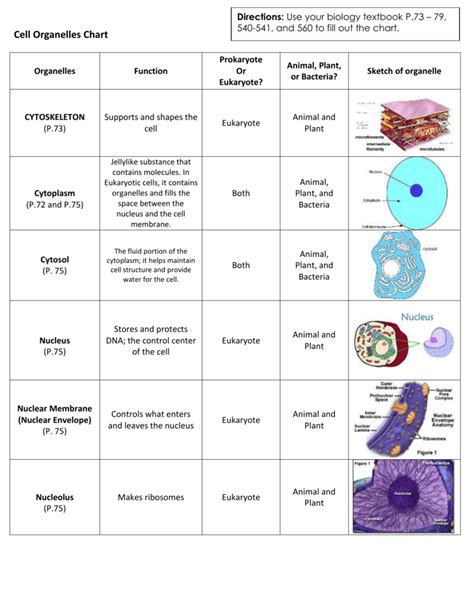 Cell Organelles