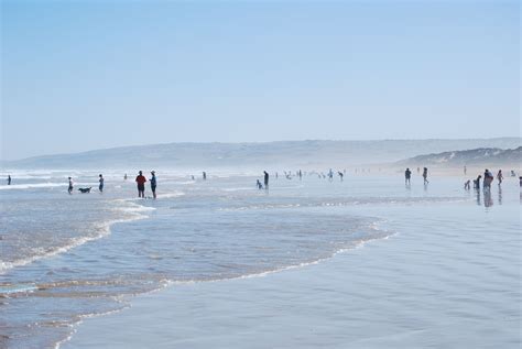 Goolwa Beach, South Australia | Beach, Australia, Landscape