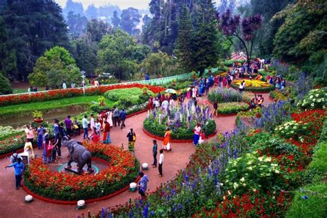 15 of The Most Magnificent Gardens in India | WildlifeZones