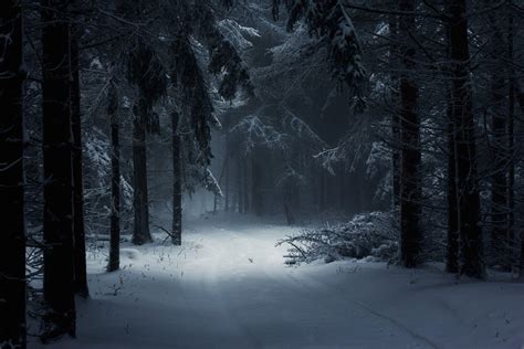 Dark Winter Forest Background Hd - Enjoy and share your favorite ...