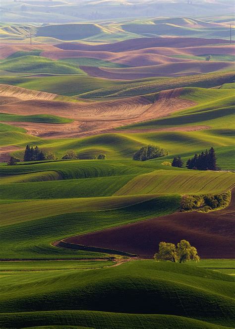 My Two Favorite Places to Photograph in the Palouse - KelbyOne Insider