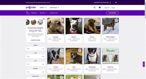 9 Best Pet Adoption Websites: Where to Find a New Pooch!