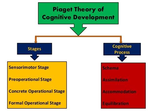 Piaget Theory of Cognitive Development Part-II