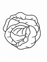 Cabbage coloring Pages sketch template