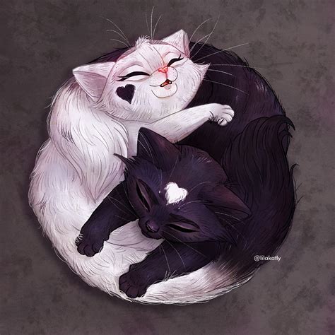 Yin Yang Kittens on Behance | Yin yang art, Yin yang, Animals black and white