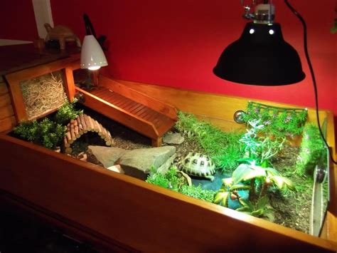 The Complete Guide To Tortoise Tables | Tortoise habitat, Galapagos ...