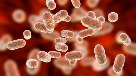 How the bacteria in your gut affect your mind and body - UWINHEALTH