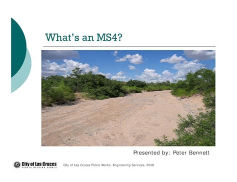 (PDF) What’s an MS4? · and solutions to stormwater pollution. Examples: • Great American Cleanup ...