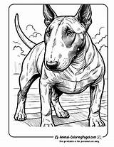 🐶 Bull Terrier Coloring Pages Free Egg Head Fun sketch template