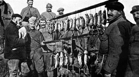 Incredible Photographs Capture Trench Rats Killed by Terriers During World War I ~ Vintage Everyday