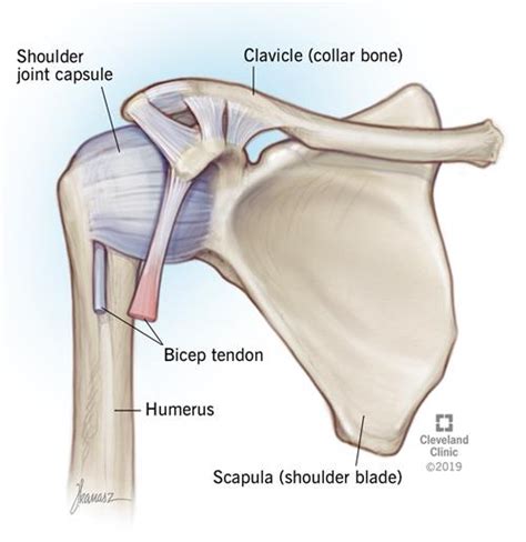 Symptoms, Stages & Treatment for Frozen Shoulder | Learn More