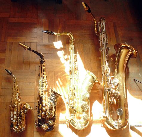 Pisoteando dialecto robo saxofon alto y tenor grabadora Golpeteo algas marinas