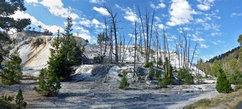 Mammoth Terraces, Yellowstone National Park, Wyoming