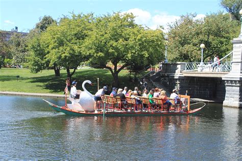 Swan Boats 2018 Opening Day [04/14/18]