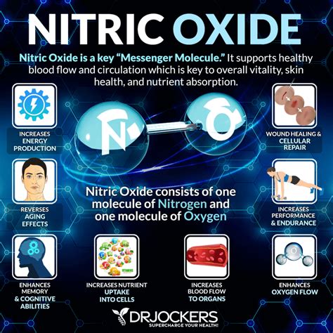 Nitric Oxide Benefits and How to Increase Levels - DrJockers.com