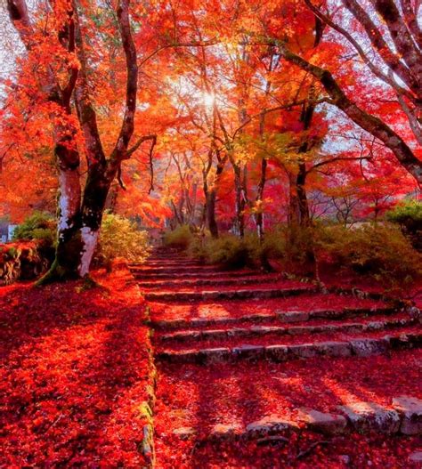 Pin by Dawn Jaksa on October colors | Autumn landscape, Autumn scenery ...