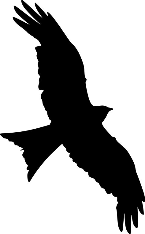 Falcon clipart falcon silhouette, Falcon falcon silhouette Transparent FREE for download on ...