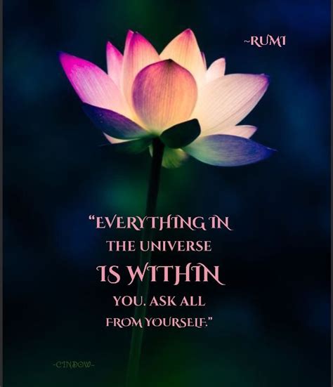 Pin by 𝓒𝐼𝓝𝐷𝓞𝓦 ⋆☆ ≼ ️≽☆⋆ on Rumi, and other great middle Eastern poets. | Rumi quotes, Spiritual ...