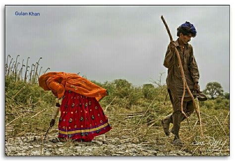 Village life of beautiful Sindh Pakistan | Village life, Sindh, Beautiful