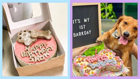 LIST: Where To Order A Birthday Cake For Your Dog