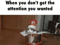 Attention GIF - Find & Share on GIPHY