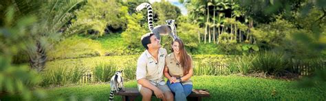 Animal Encounters at Australia Zoo - Get Up Close With Our Amazing Wildlife