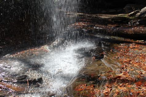 Illinois Wisconsin Fishing: waterfalls of pisgah national forest