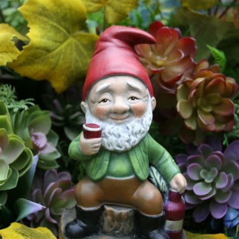 Rude Garden Gnomes - Etsy