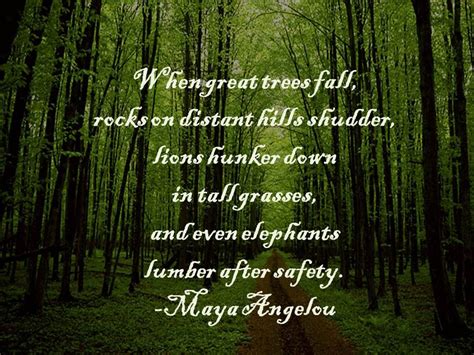 Maya Angelou When Great Trees Fall