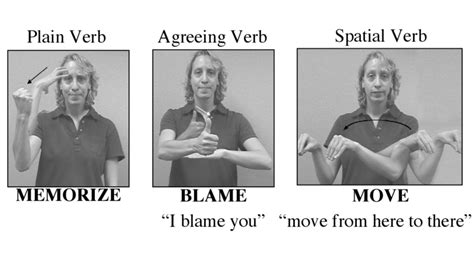 1. Illustration of ASL verb types (from Emmorey, 2002). | Download Scientific Diagram