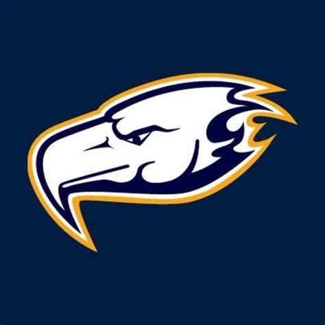 Thunderbirds Football Logo