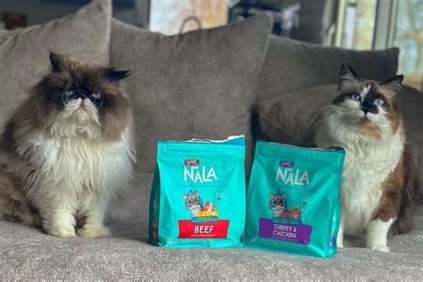 Healthy Cat Foods: Optimal Nutrition Choices | Love Nala