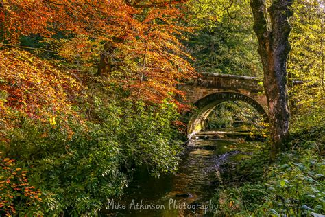 Autumn At The Grove Bridge. | Taken at Hamsterley Forest, Co… | Flickr