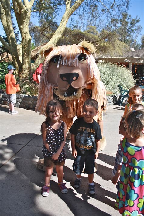 San Diego Zoo Safari Park’s Cheetah Run and Summer Safari | Daytripping Mom