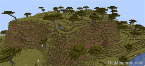 Savanna Plateau in Minecraft