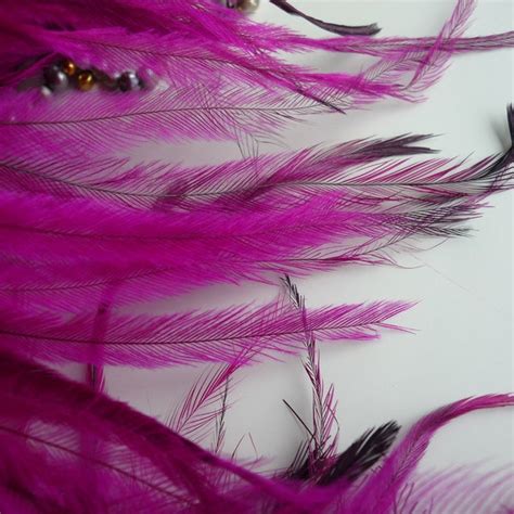 Emu Feathers - Etsy