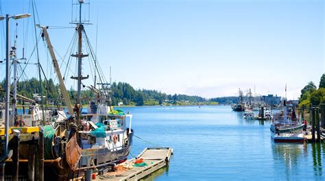 Visit Ucluelet: Best of Ucluelet Tourism | Expedia Travel Guide