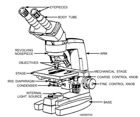 THE COMPOUND LIGHT MICROSCOPE PARTS « Optics & Binoculars